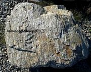 Gnejs Pasiasty - skała o wadze pow. 250kg
